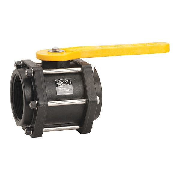 Poly Valve, FPT x 2 1/2