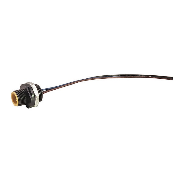 Receptacle, D Key, F, 4 Pole, Back Panel Mt