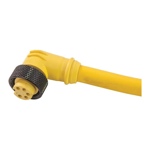 Cordset, Mini-Link Assy, PVC, F, 2 P, 20 ft.
