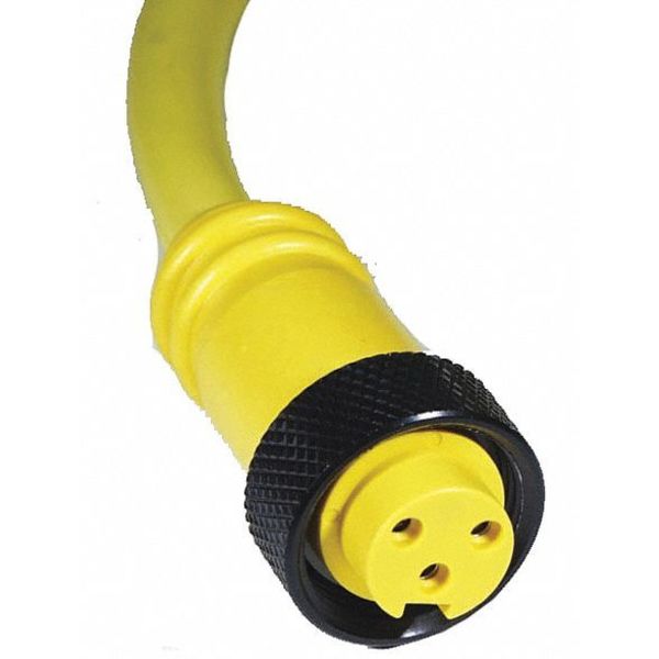 Cordset, Mini-Link Assy, PVC, F, 6A P, 12 ft.