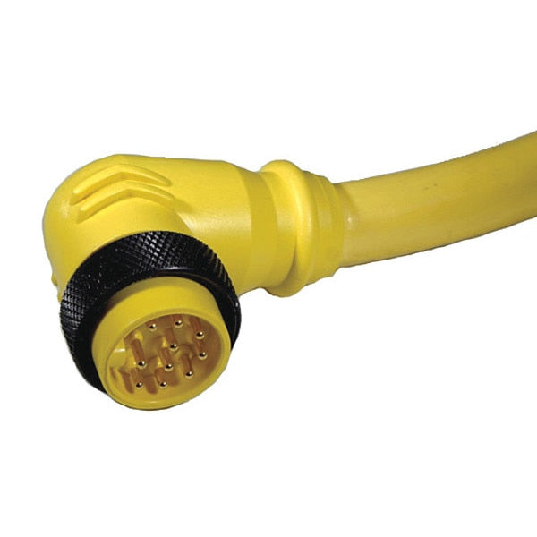 Cordset, Mini, PVC, Male, 10 Pole, 12 ft.