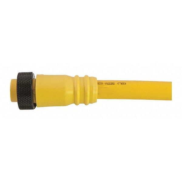 Cordset, Mini, PVC, Female, 8 Pole, 12 ft.
