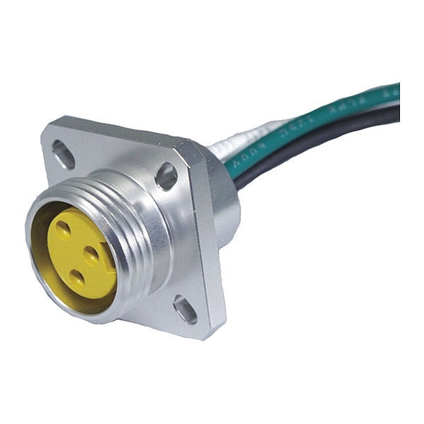 Receptacle, MiniSize, F, Flg Mt 6 P, 1 ft.