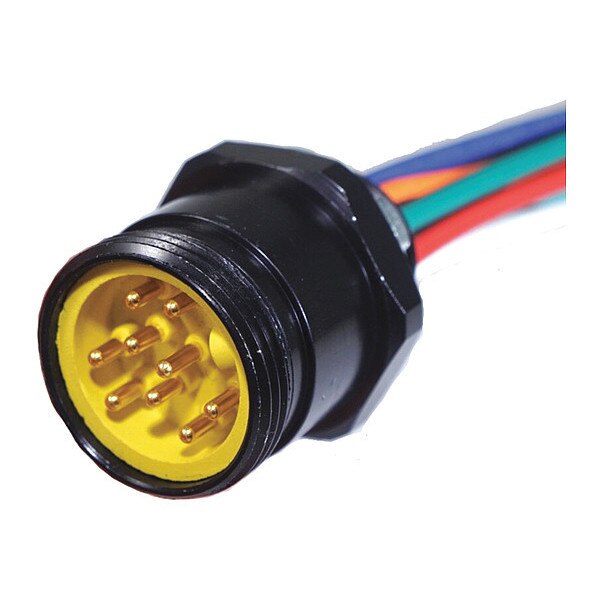 Receptacle, Mini, Male, 12 Pole, 1 ft.