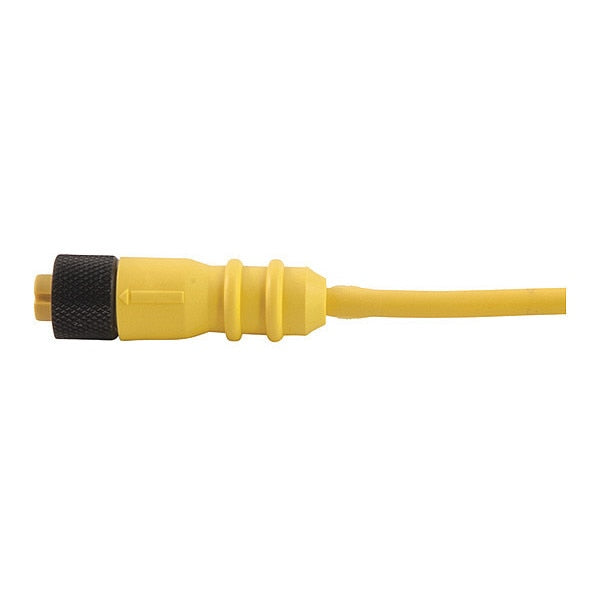 Cordset, Single Key, PUR, F, 5 Pole, 13.1 ft.