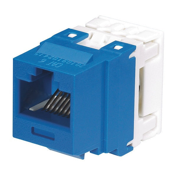 Nk, Cat6, Punchdownjackmodule, Blue