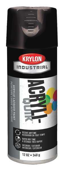 Spray Paint, Black, Gloss, 12 oz