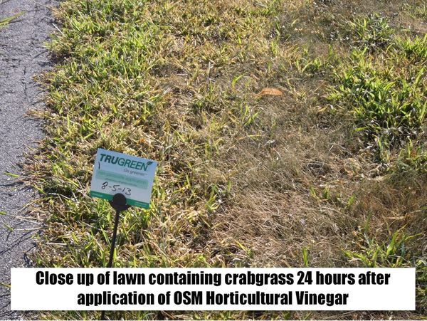 Horticultural Vinegar, 1 Gal.