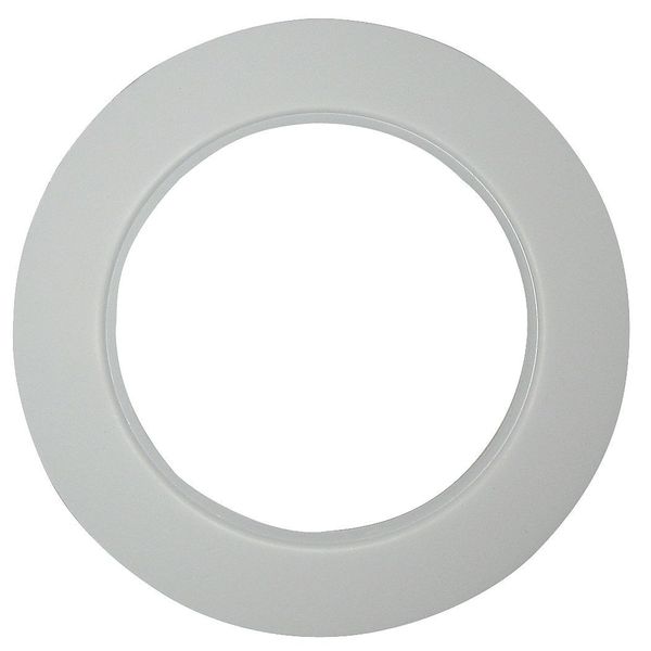 Ring Gasket, 1 In, Expanded PTFE