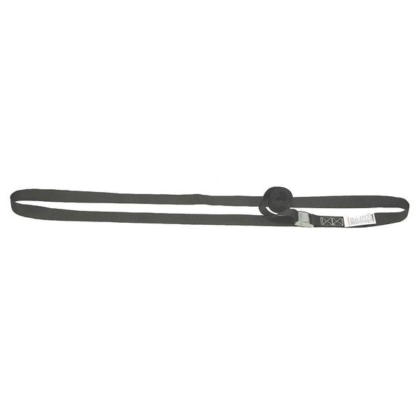 Tiedown, Cam Strap Asmbly, 330 lb, Endless