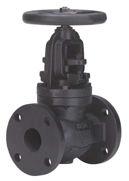 Globe Valve, 6 In., Cast Iron