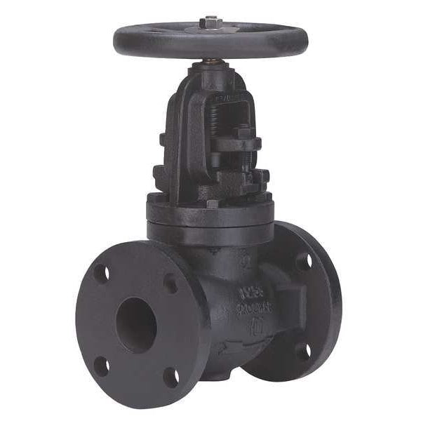 Globe Valve, 2 In., Cast Iron