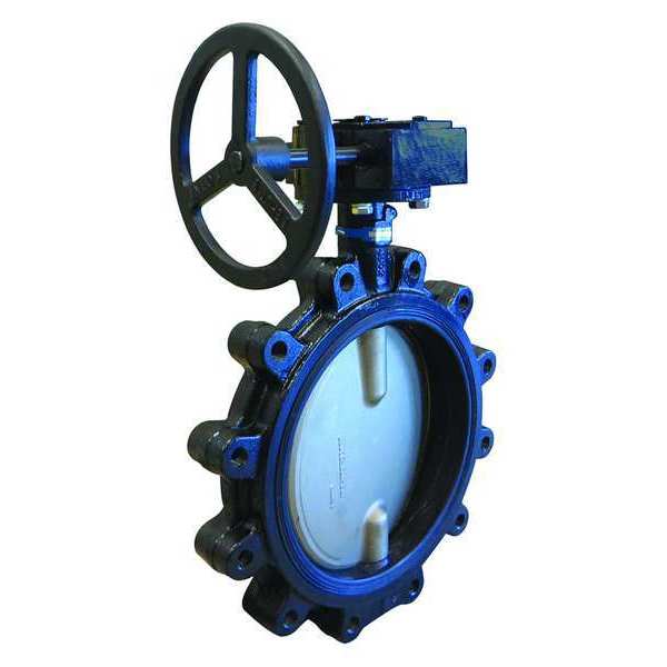 Butterfly Valve, Lug Style, Size 12 In