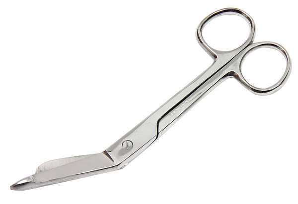 Scissors, 5-1/2 In. L, Silver, Pointed