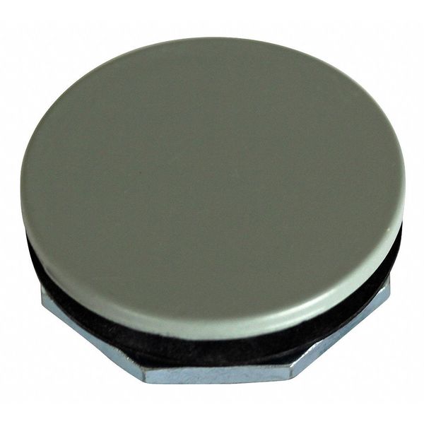 Blanking Plug, F/30mm Push Button