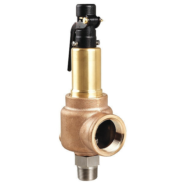 Sfty Valve, 300 psi, 1 MNPT x 1 FNPT Sries