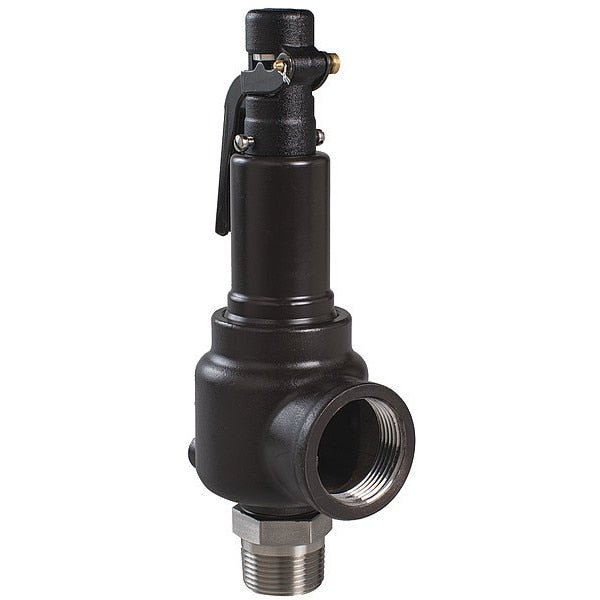 Sfty Vlv, 100 psi, 2 MNPT x 2 1/2 FNPT SRS
