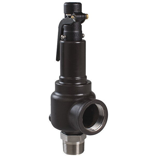 Sfty Vlv, 100 psi, 1/2 MNPT x 3/4 FNPT SRS