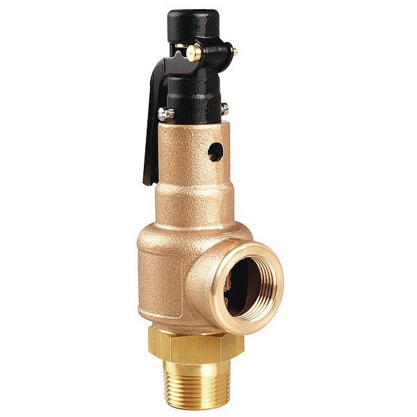 Safety Valve, 100 psi, 2 MNPT x 2 FNPT