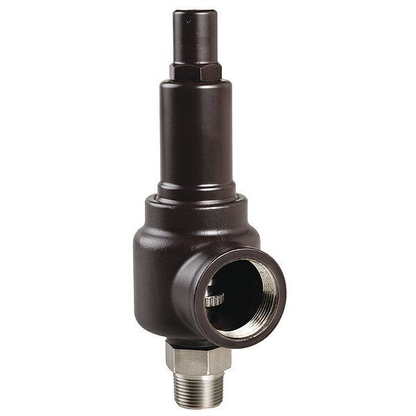 Sfty Vlv, 500 psi, 3/4 MNPT x 1 FNPT Sries