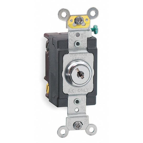 Wall Switch, 1-Pole, Maintained, Metallic