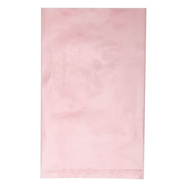Anti Static Bags, 4In by 6In, 2 Mil, PK100