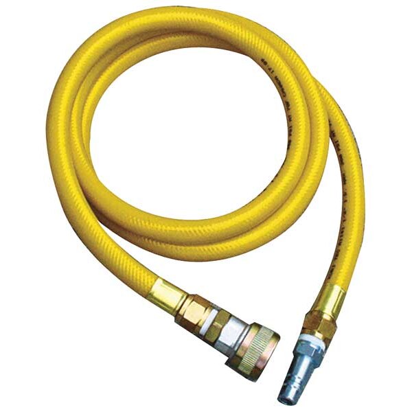 Airline Hose, 10 ft., 250 psi
