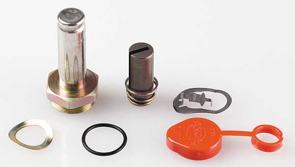 Valve Rebuild Kit, Use w/4EKY7 and 4ELF9