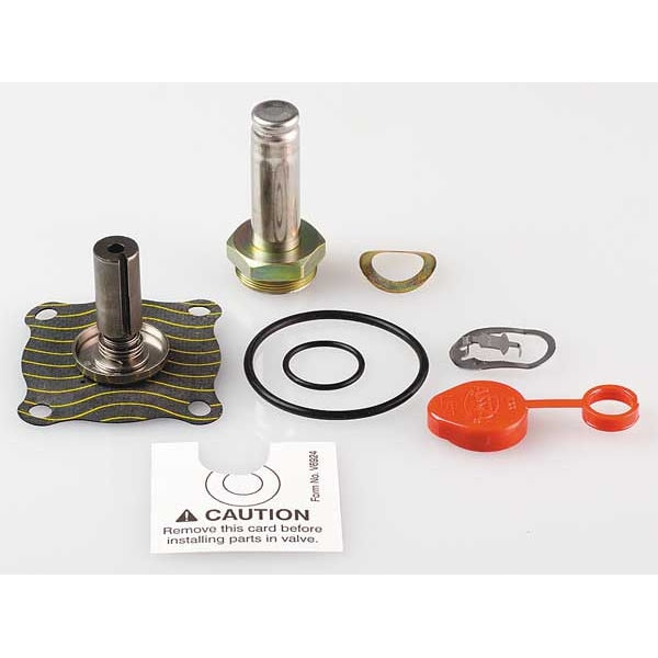 Valve Rebuild Kit, For Use w/4EKY7