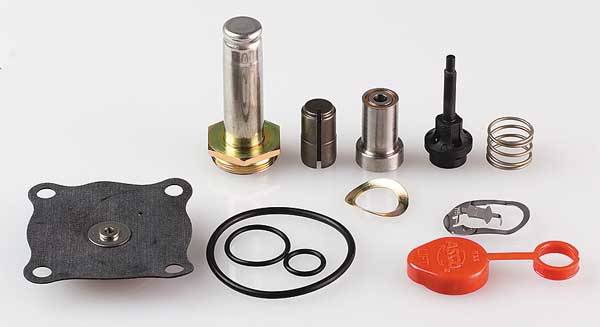 Valve Rebuild Kit, Use w/4ELZ8 and 4ELZ9