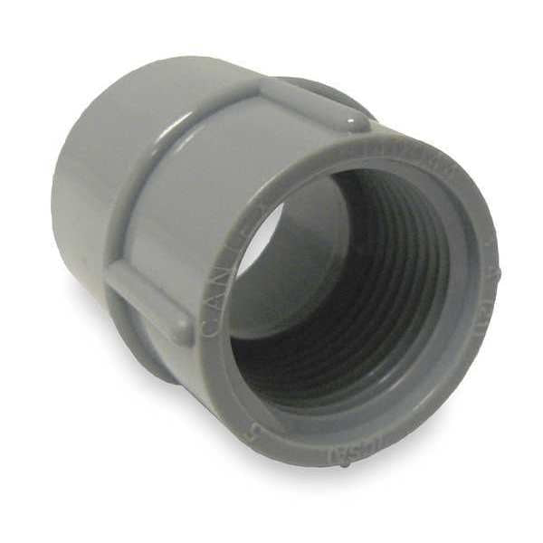 Female Adapter, 1 In. Conduit, PVC, 2 In. L