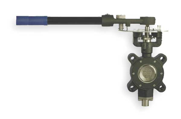 Butterfly Valve, Lug, 2 1/2 In, RPTFE Liner