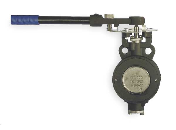 Butterfly Valve, Wafer, 4 In, RPTFE Liner