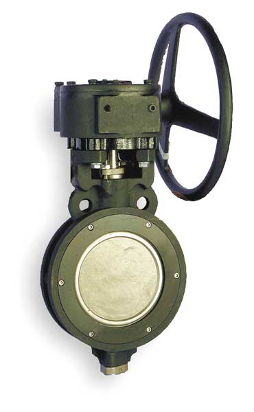 Butterfly Valve, Wafer, 10 In, Carbon Steel