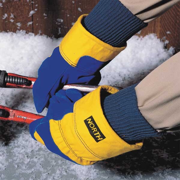 Cold Protection Gloves, Thinsulate Lining, L