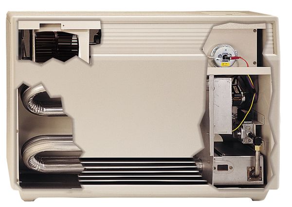 Gas Freestanding Floor Heater, Natural Gas, Direct Vent Vent Type, Fan Forced Convection