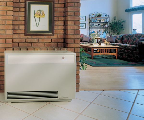 Gas Freestanding Floor Heater, Natural Gas, Direct Vent Vent Type, Fan Forced Convection