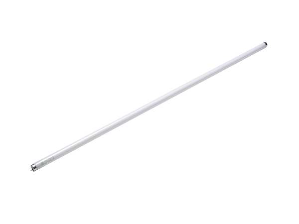 Fluorescent Linear Lamp, T8, Cool, 4100K