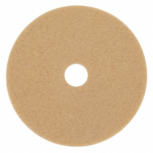 Burnishing Pad, 17 In, Tan, PK5