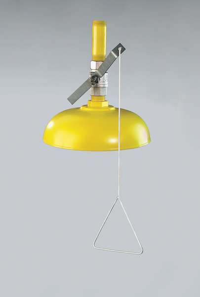 Safety Shower, Ceiling Mount