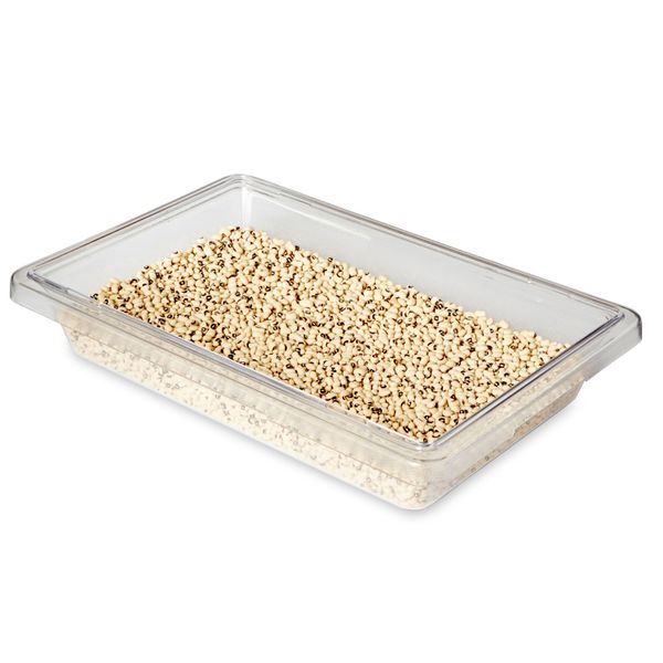 Food Box, 8 qt., Clear