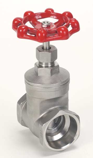 Gate Valve, Class 200, 2 In, 316 SS