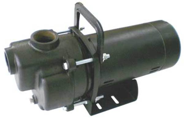Self Priming Centrifugal Pump, 1/3 hp, 115/230V AC, 1 Phase, 32 ft Max Head