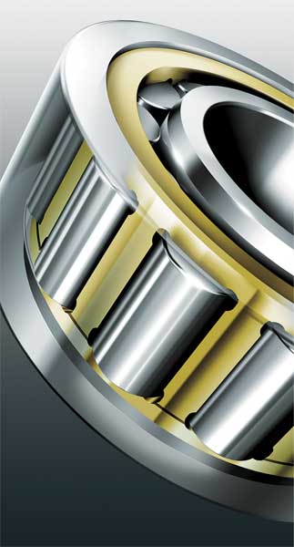 Cylindrical Roller Bearing, Bore 85 mm