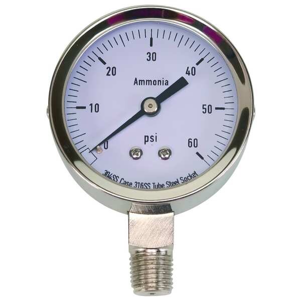Pressure Gauge, 0 to 60 psi, 1/4 in MNPT, Stainless Steel, Silver