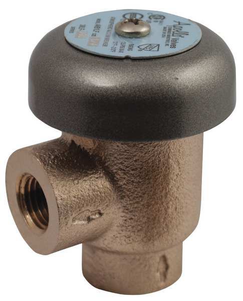 Vacuum Breaker, 1/2 In., FNPT, 125 psi