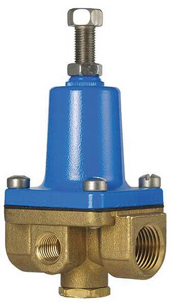 Pressure Regulator, 1/2 In, 20 to 175 psi