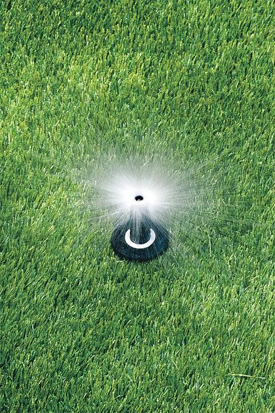 Spray Head for Shrubs, 4 in. H, 0.1 gpm