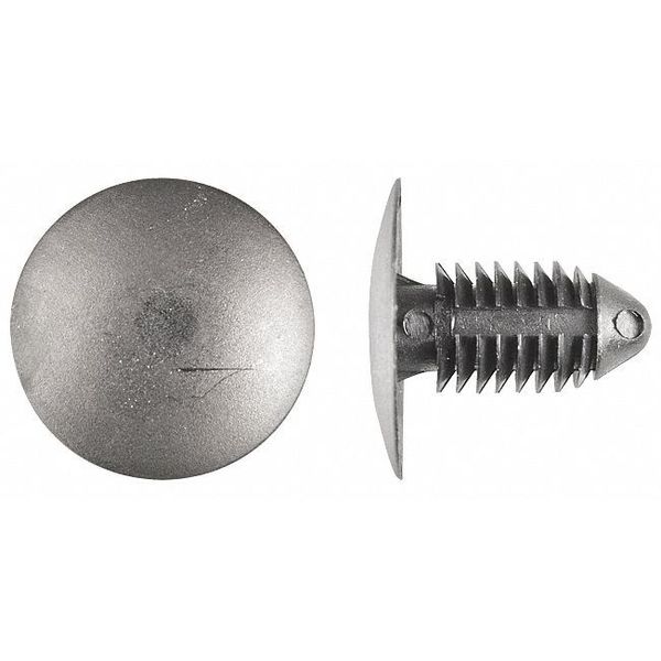 Push-In Rivet, Dome Head, 0.375 in Dia., 27/32 in L, Nylon Body, 25 PK
