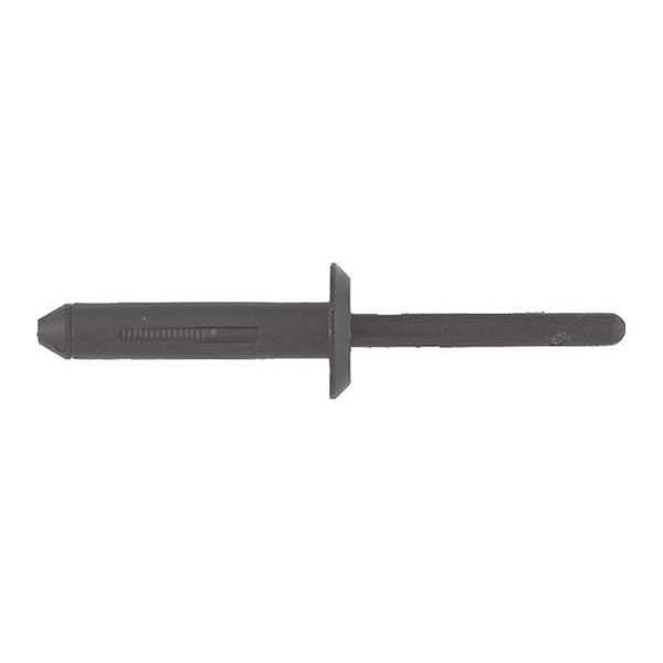 Blind Rivet, Dome Head, 13/64 in Dia., 1 in L, Nylon Body, 25 PK